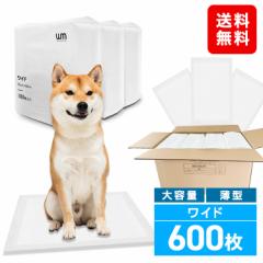_݌v1,500˔j^ ybgV[c ^ Ch 600 6w\ uԋz  gC ybg ybgV[g gCV[g   