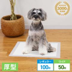 _݌v3,000˔j^ ybgV[c ^ M[ 100 Ch 50 6w\ uԋz  gC ybg ybgV[g gCV[g