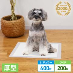 _݌v3,000˔j^ ybgV[c ^ M[ 400 Ch 200 6w\ uԋz  gC ybgV[g gCV[g yb