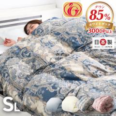 Hѕzc VO O SL zCg_bN_E85% 1.0kg { |zc j[S[hx _Ep[ 300dp 30}X̃L