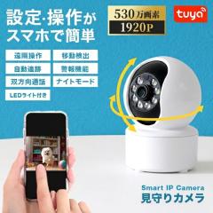 �y�ŐV�@��z �h�ƃJ���� �y�b�g�J���� �����\ 530����f �^�� �����ǐ� �ʘb 1�N�ۏ� �X�}�z�Ή� �y�b�g �J���� �h�� ����� �����J��