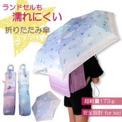 �P �܂肽���ݎP ���� �J�T �V�}�G�i�K ���܂��Ȃ� 50cm 100cm �y�� ���S �J �~�J �q���p �L�b�Y �W���j�A ���̎q ���w�� ���f�B�[�X �O