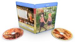 超電磁マシーン ボルテスV 全40話BOXセット ブルーレイ【Blu-ray】の