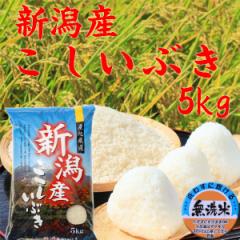 米 令和6年 無洗米 5kg 新潟産 こしいぶき 無洗米 5kg 新潟県産 米5キロ 美味しいお米 お米 5kg 無洗米5kg お米 5kg 安い 5キロ 美味し