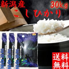 令和7年 新潟産 コシヒカリ 30kg 10kg×3袋 送料無料 新潟 白米30キロ 
