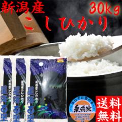 米 無洗米 30kg 送料無料 令和6年 新潟産 コシヒカリ 無洗米 30kg 10kg×3袋 送料無料 新潟産 コシヒカリ30キロ 送料無料 《お米 お米