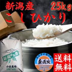 コシヒカリ 無洗米 送料無料 米 令和6年 新潟産 コシヒカリ 25kg お得 無洗米 新潟米 コシヒカリ 無洗米 25kg《お米 25キロ 無洗米 2