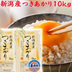米 令和6年 新潟産 つきあかり 無洗米 10kg 5kg×2 新潟県産 米 10kg 無洗米《お米10キロ 無洗米 お米 10キロ 安い米 農家直送 美味しい