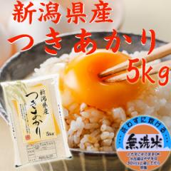 令和6年 米 無洗米 5kg 新潟産 つきあかり 無洗米 5キロ 新潟県産 米5キロ お米 5kg 無洗米《無洗米5キロ お米 5kg 安い米 5キロ 農家直