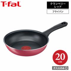 eBt@[ T-fal Nx[bh tCp 20cm B55902 KXΐpEIHs /  m点}[N тɂ  y