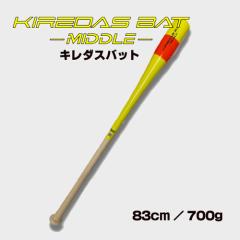 MIZUNO ミズノ 中学硬式用 グローバルエリート イントローグ00