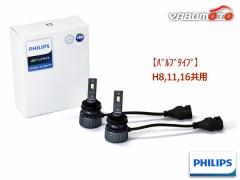 Philips nC[^CvLEDwbhtHOCg 12Vp H8 H11 H16 ԌΉ 1Nۏ H11-HLM-TR