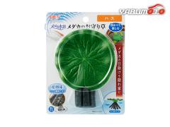 GEX ���_�J���i ���_�J�̂���葐 �n�X �Ϗ܋��p�i �����p�i�����ׂĊy����