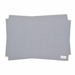ランチョンマット(40cm×60cm) 2枚セット グレイッシュブルー 子供用 ナフキン 小学校 幼稚園 給食 ランチクロス テーブル クロス 給食 