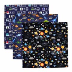 ランチクロス・給食ナフキン (45cm×45cm) 柄違い3枚セット 恐竜・惑星・電車セット 子供用 ナフキン 小学校 ランチョンマット 給食 ラン