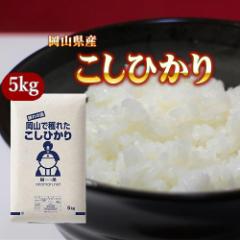 米 お米 令和6年産 岡山県産 コシヒカリ 5kg (5kg×1袋) 米 お米 送料無料 北海道・沖縄宛配送不可