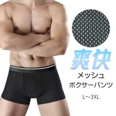 {NT[pc bV ̖D OƂ Oĕzt Y j Ci[  tBbg Lk ʋC   y 