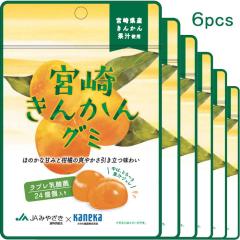 6�܃Z�b�g�̔� �O�~ ���_�ۓ��� �{�� ���񂩂� �O�~ �J�l�J�H�i ���� �{��Y���񂩂�ʏ` �������� �X�b�L�� �Â� �_�� �ʏ`�W���� ���u