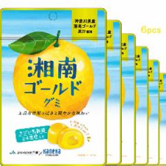 6�܃Z�b�g�̔� �O�~ ���_�ۓ��� �Ó�S�[���h�O�~ �J�l�J�H�i �������� �X�b�L�� �Î_���ς� ����₩�Ȗ��킢 �ʏ`�W���� ���u�����_�� 