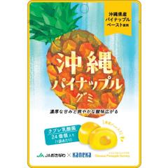 �O�~ ���_�ۓ��� ���� �p�C�i�b�v�� �O�~ �J�l�J�H�i �W�������[�p�C�� ����Y �p�C�i�b�v���ʏ` �������� �W���[�V�[ �Â� ���� �ʏ`�W