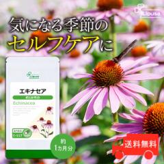 �G�L�i�Z�A ��1������ C-117 (60�J�v�Z��) �������� ���N�ێ� �n�[�u �T�v�� ���v�T Lipusa ���� agesugi_sbe