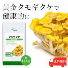 �^���M�^�P ��1������ C-128 (90�J�v�Z��) �������� ���N �T�v�� ���v�T Lipusa ���� agesugi_sbe