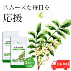 {XEFA 3~2 C-158-2 (180JvZ~2)  N e Tv vT Lipusa  agesugi_sbe