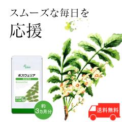 {XEFA 3 C-158 (180JvZ)  N e Tv vT Lipusa  agesugi_sbe