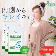 _ہ{rtBYX 1~3 C-177-3 (60JvZ~3)  N ۊ ώ_JvZ Tv vT Lipusa  agesug