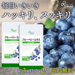 u[x[GLX 3~2 C-169-2 (90JvZ~2)  N fW^PA e[N AgVAj Tv vT L