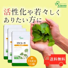 ScR[ 1~3 C-197-3 (60JvZ~3)   c{NT n[u Tv vT Lipusa  agesugi_sbe