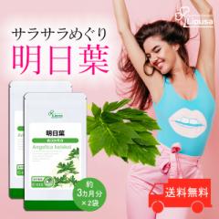 �����t ��3�������~2�� C-111-2 (180�J�v�Z���~2��) �������� �_�C�G�b�g ���N�ێ� �T�v�� ���v�T Lipusa ���� agesugi_sbe