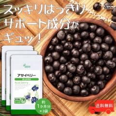 ATCx[ 1~3 C-115-3 (30JvZ~3)  N e AgVAj X[p[t[h Tv vT Lipusa 