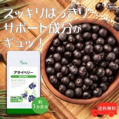 ATCx[ 1 C-115 (30JvZ)  N e AgVAj X[p[t[h Tv vT Lipusa  agesugi_sbe