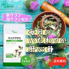 }AAU~ 1 C-132 (90JvZ)  Nێ V} Tv vT Lipusa  agesugi_sbe