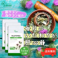 }AAU~ 1~3 C-132-3 (90JvZ~3)  Nێ V} Tv vT Lipusa  agesugi_sbe