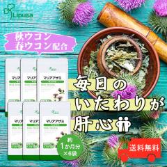 }AAU~ 1~6 C-132-6 (90JvZ~6)  Nێ V} Tv vT Lipusa  agesugi_sbe