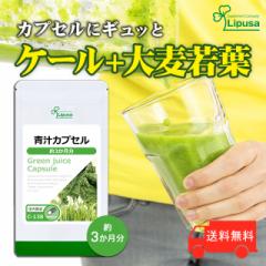 `JvZ 3 C-138 (180JvZ)  N P[ 唞t JvZ Tv vT Lipusa  agesugi_sbe