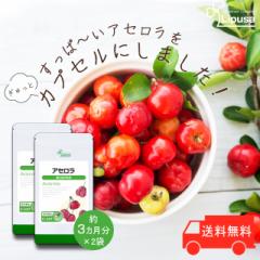 AZ 3~2 C-147-2 (90JvZ~2)  N e r^~C Tv vT Lipusa  agesugi_sbe