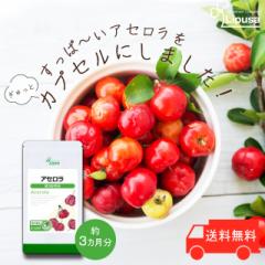 AZ 3 C-147 (90JvZ)  N e r^~C Tv vT Lipusa  agesugi_sbe