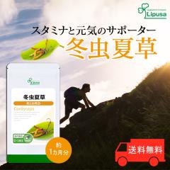 ~đ 1 C-181 (60JvZ)   Tv vT Lipusa  agesugi_sbe