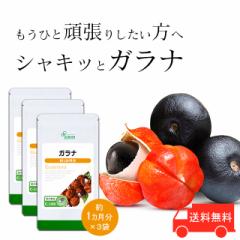 Ki 1~3 C-186-3 (30JvZ~3)   Tv vT Lipusa  agesugi_sbe