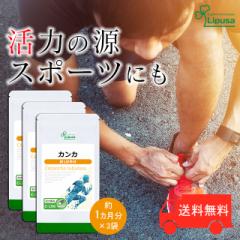 JJ 1~3 C-196-3 (30JvZ~3)   Tv vT Lipusa  agesugi_sbe