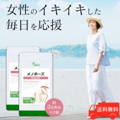 m|[Y 3~2 C-251-2 (90JvZ~2)  e  Tv vT Lipusa  agesugi_sbe