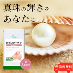 ^R[Q 3 C-253 (180JvZ)  e N Tv vT Lipusa  agesugi_sbe