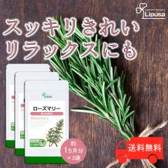 [Y}[ 1~3 C-259-3 (30JvZ~3)  e N n[u Tv vT Lipusa  agesugi_sbe