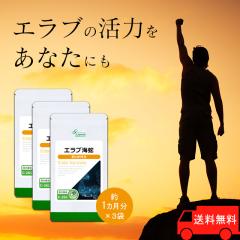 GuC 1~3 C-261-3 (30JvZ~3)  N Cu[ Tv vT Lipusa  agesugi_sbe