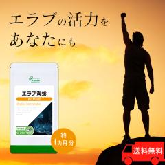 GuC 1 C-261 (30JvZ)  N Cu[ Tv vT Lipusa  agesugi_sbe