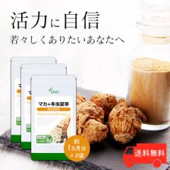 }J{~đ 1~3 C-262-3 (90JvZ~3)   Tv vT Lipusa  agesugi_sbe