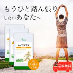 CvA} 1~3 C-264-3 (60JvZ~3)   Tv vT Lipusa  agesugi_sbe